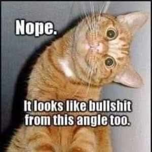 Meet your Posher, Richard